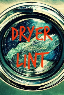 Dryer Lint Trailer
