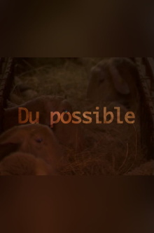 Du possible Trailer
