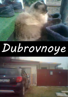 Dubrovnoye Trailer