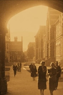 Dunedin City Trailer
