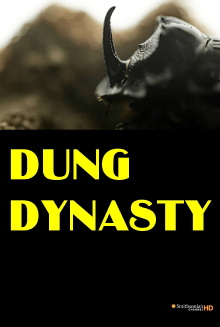Dung Dynasty Trailer