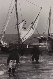 Dutch Fishing Boats Trailer