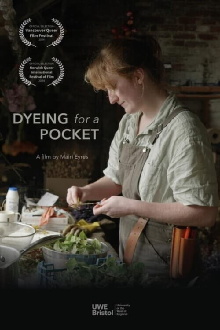 Dyeing for a Pocket Trailer