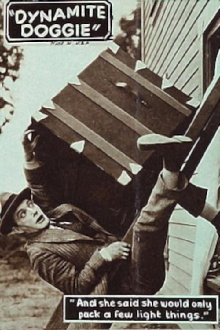 Dynamite Doggie Trailer
