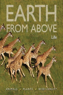 Earth From Above: Life Trailer