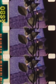 Easter Blues Trailer