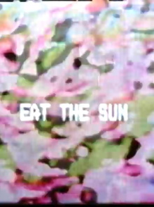 Eat the Sun Trailer