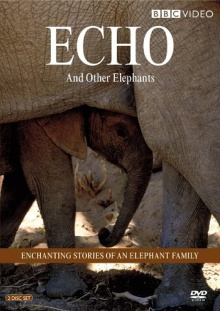 Echo of the Elephants, The Story of an Elephant Family Trailer