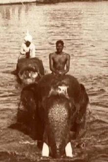 Edward Prince of Wales' Tour of India: Indore, Bhopal, Gwalior and Delhi Trailer