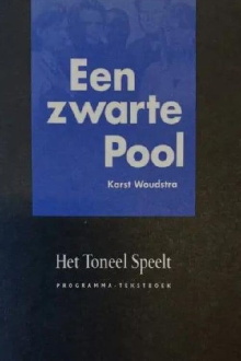 Een Zwarte Pool Trailer