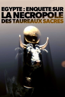 Égypte - Enquête sur la nécropole des taureaux sacrés Trailer