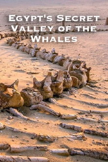 Egypt's Secret Valley of the Whales Trailer