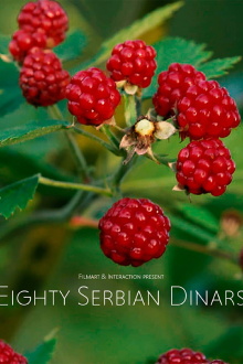 Eighty Serbian Dinars Trailer