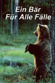 Ein Bär für alle Fälle Trailer