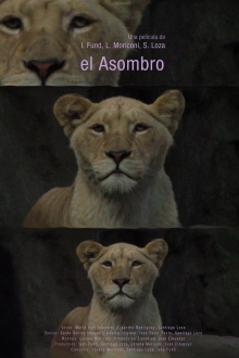 El asombro Trailer