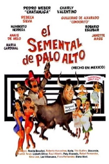 El semental de Palo Alto Trailer