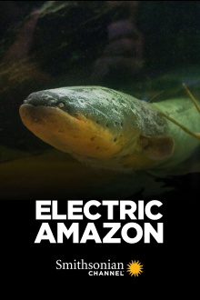 Electric Amazon Trailer