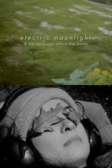 electric moonlight & the language within the leaves Trailer