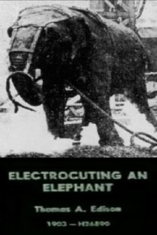 Electrocuting an Elephant Trailer