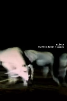 Elegy Trailer