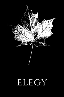Elegy Trailer