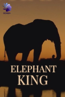 Elephant King Trailer