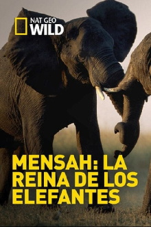Elephant Queen Trailer
