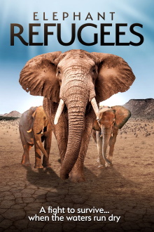 Elephant Refugees Trailer