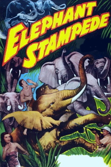 Elephant Stampede Trailer