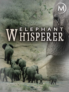 Elephant Whisp­erer Trailer