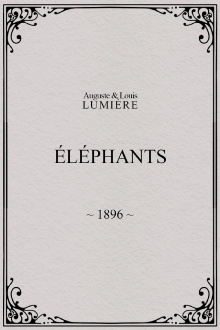 Elephants Trailer