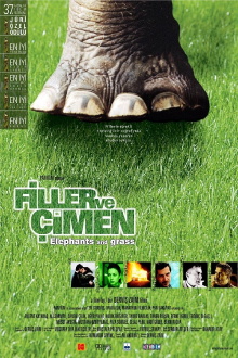 Elephants and Grass Trailer