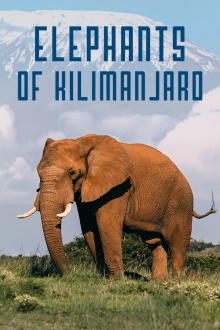 Elephants of Kilimanjaro Trailer