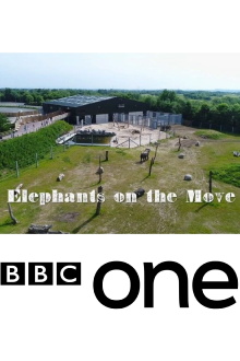 Elephants on the Move Trailer