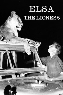Elsa the Lioness Trailer