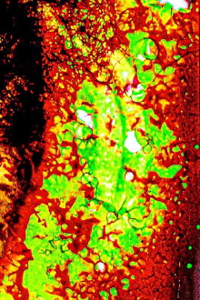 Embers from Yesterday, Aflame. Trailer