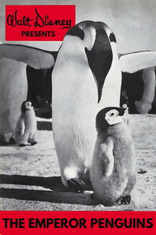Emperor Penguins Trailer
