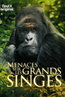 En danger : menaces sur les grands singes Trailer