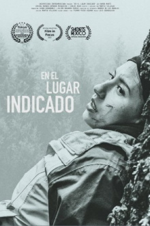 En el lugar indicado Trailer