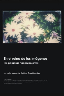 En el reino de las imágenes, las palabras nacen muertas Trailer