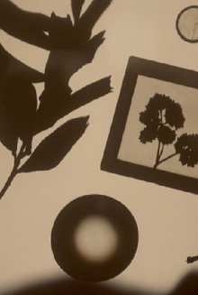 En Tibi Herbarium (Here, a Herbarium For You) Trailer