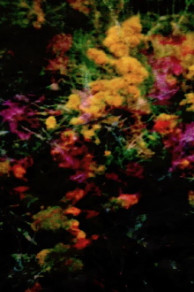 encaustic/earth/prayer/poem Trailer