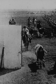 Encierro de toros Trailer