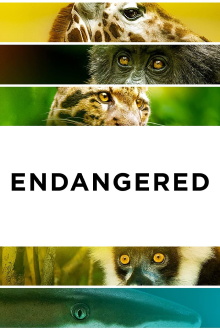 Endangered Trailer