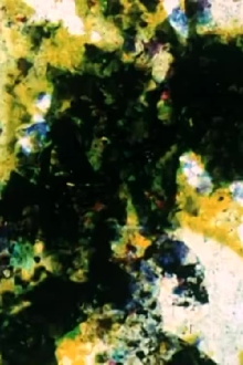 Enfouissement – fossile (Effacement – disparition) Trailer