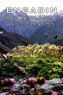 Engadin: Switzerland's Wilderness Trailer