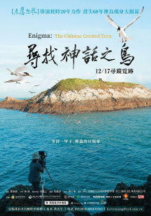 Enigma: The Chinese Crested Tern Trailer
