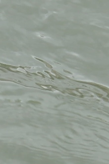 entre les vagues (un hommage) Trailer