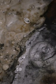 Entropic Memory Trailer