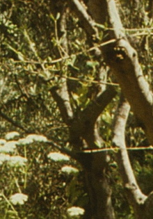 Envío 6 Trailer